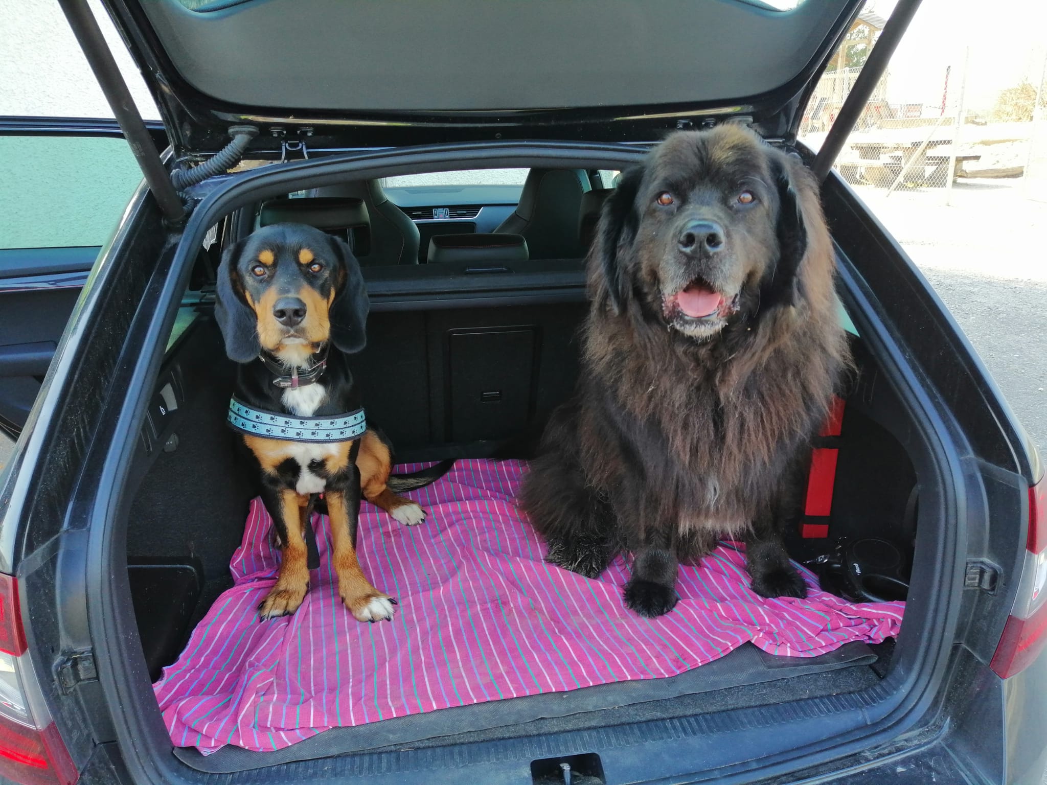 24/7 persönliche Betreuung